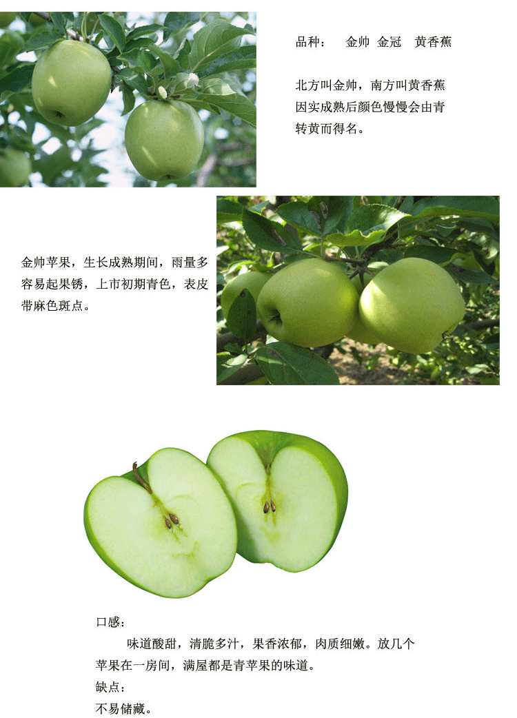 高原无污染盐源金帅苹果