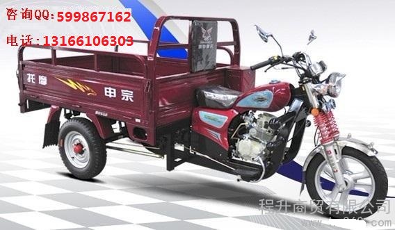 宗申ZS125ZH油剎三輪摩托車圖片/宗申ZS125ZH油剎三輪摩托車樣板圖 (1)
