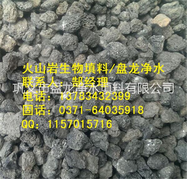 湖北生物火山巖生物填料/火山巖廠(chǎng)家/火山巖價(jià)格