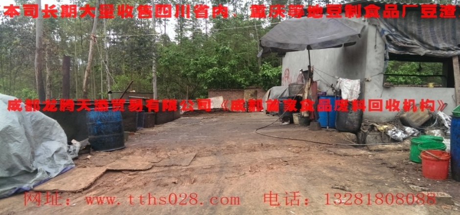 青羊區(qū)長期大量回收出售潲水