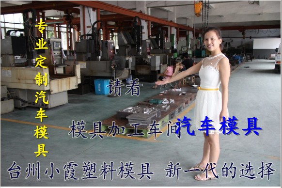 汽車模具圖片/汽車模具樣板圖 (3)