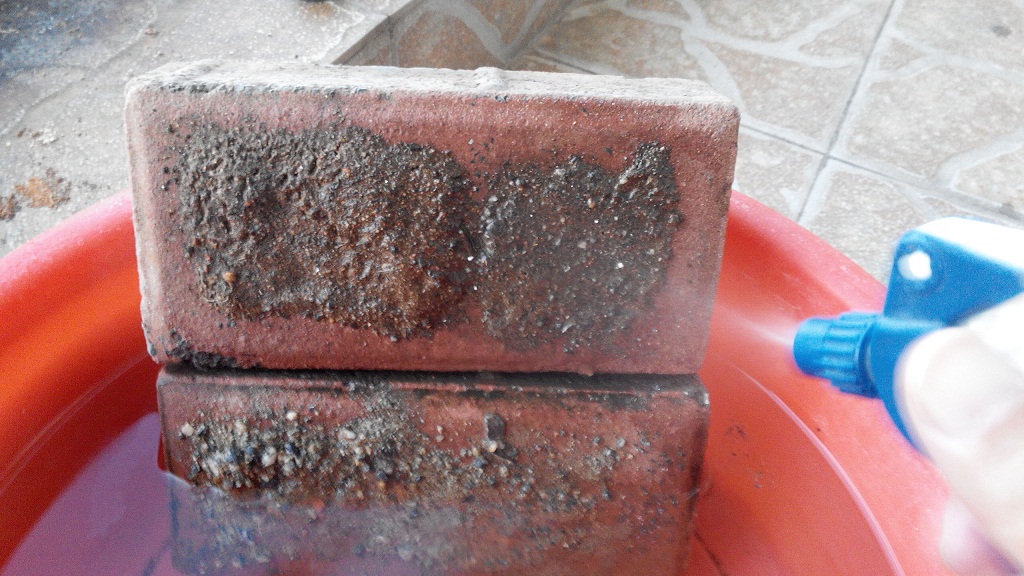 防雨型圖片/防雨型樣板圖 (2)