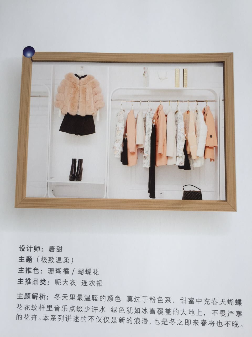 东莞市衣伽服装贸易有限公司简介