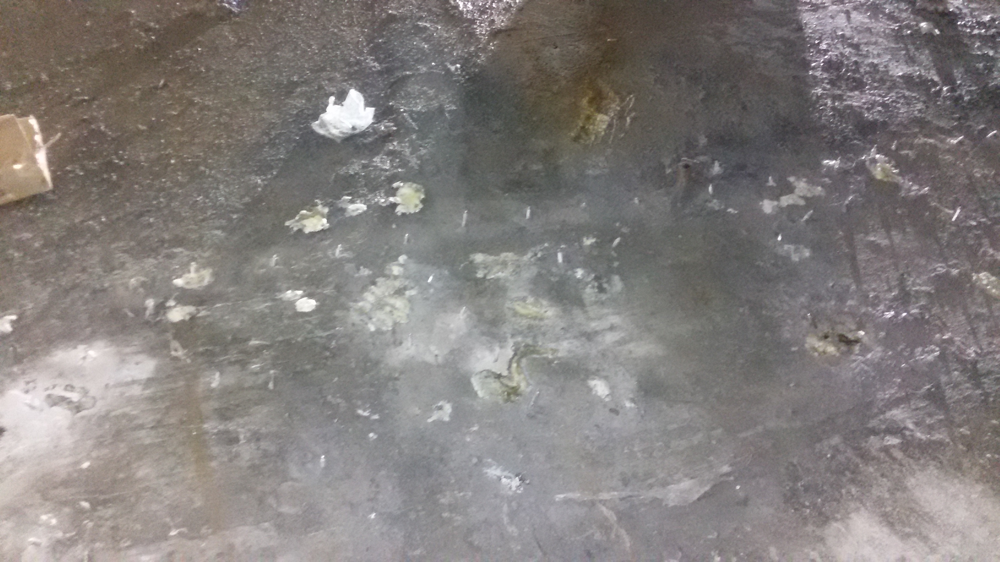 寧波堵漏公司圖片/寧波堵漏公司樣板圖 (4)