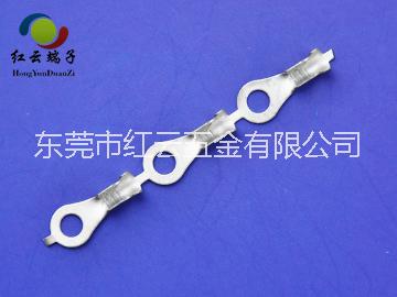 2圓環(huán)端子圖片/2圓環(huán)端子樣板圖 (4)