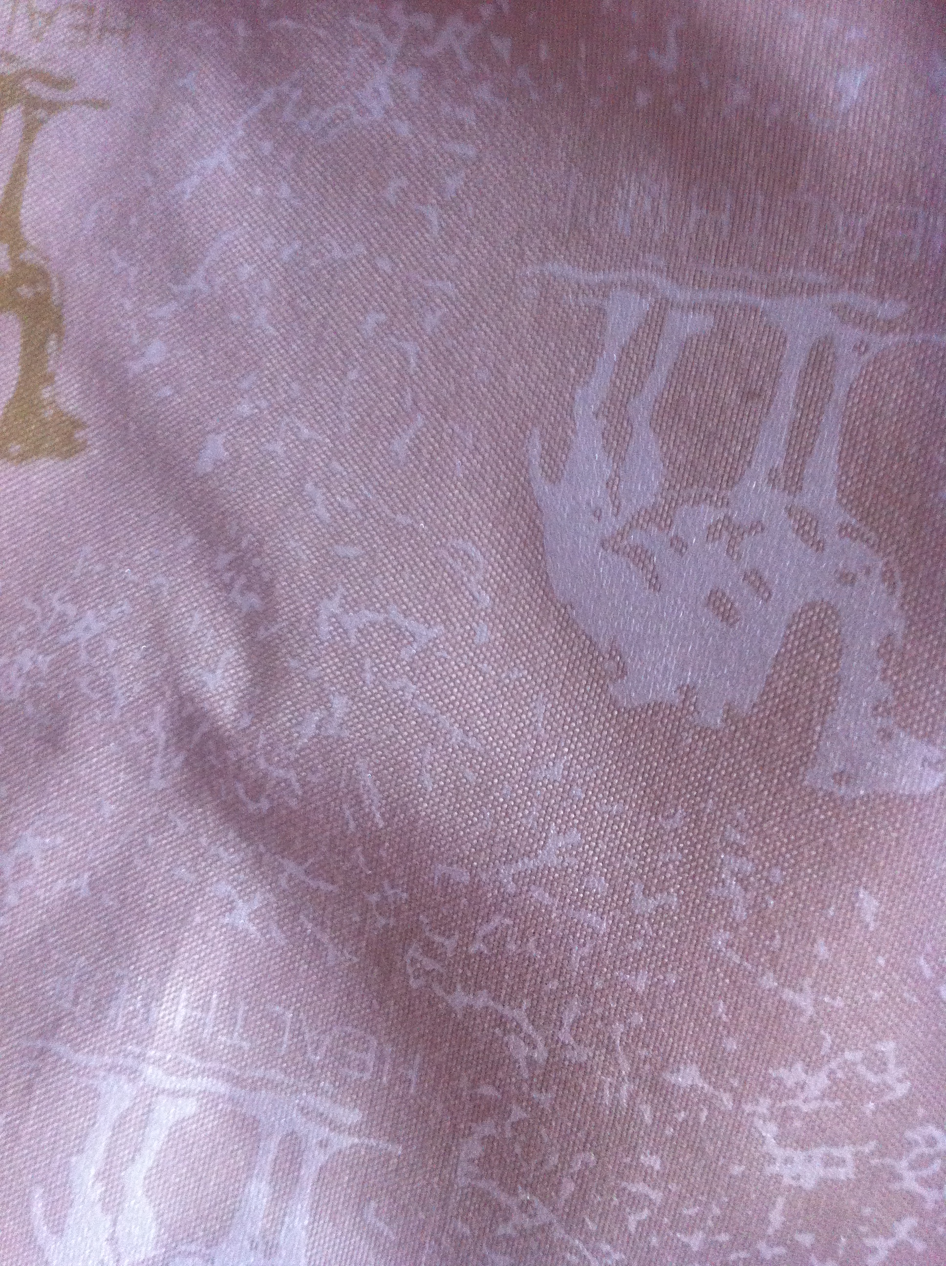 桃皮絨圖片/桃皮絨樣板圖 (4)