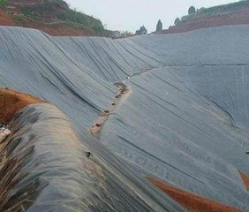 鶴崗圖片/鶴崗樣板圖 (2)