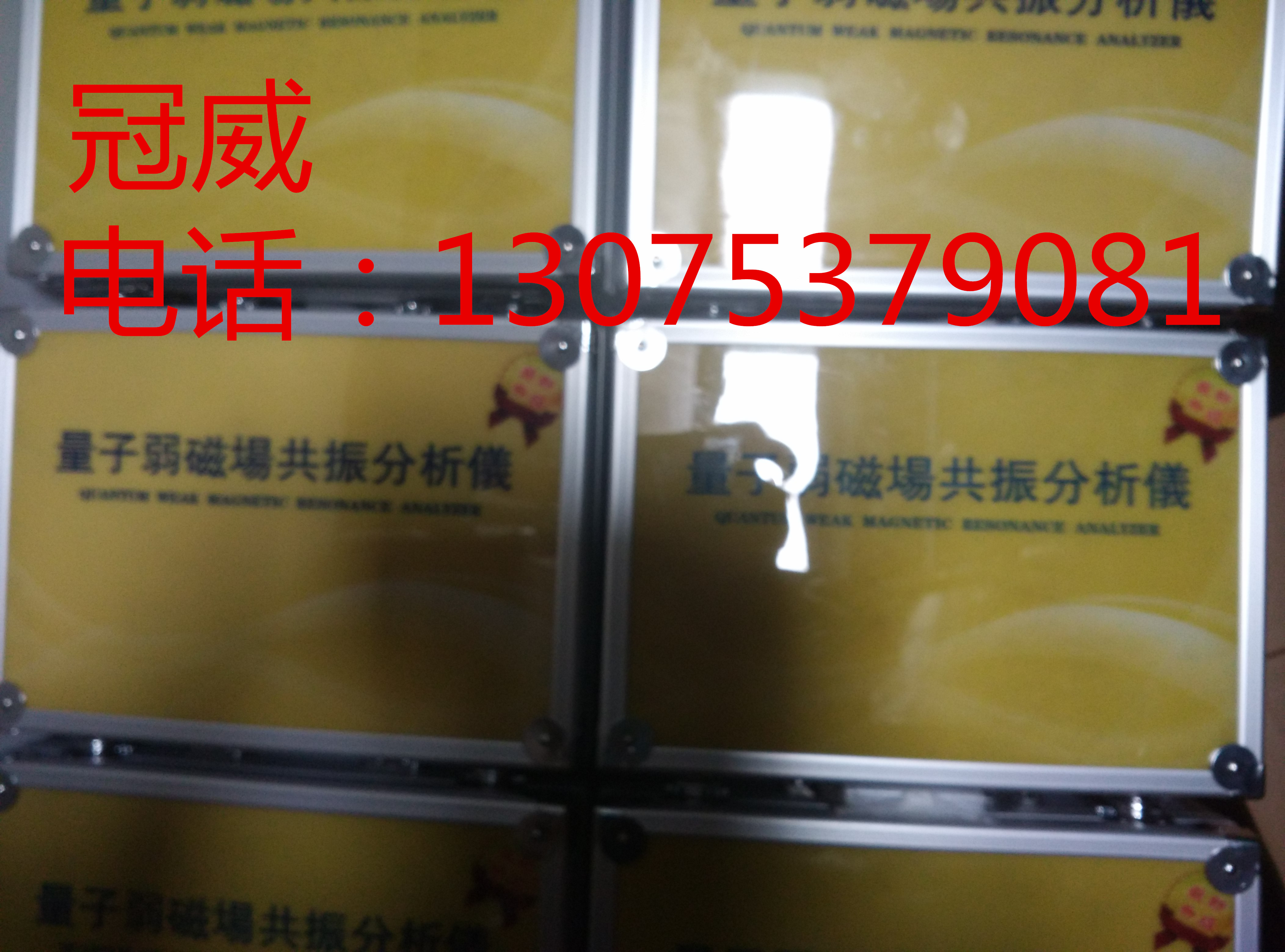 量子弱磁場共振分析圖片/量子弱磁場共振分析樣板圖 (4)