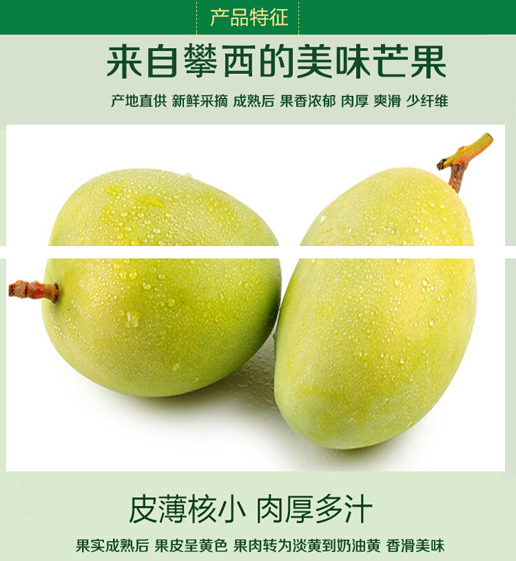 新鮮凱特芒果8斤包郵 攀枝花芒果圖片