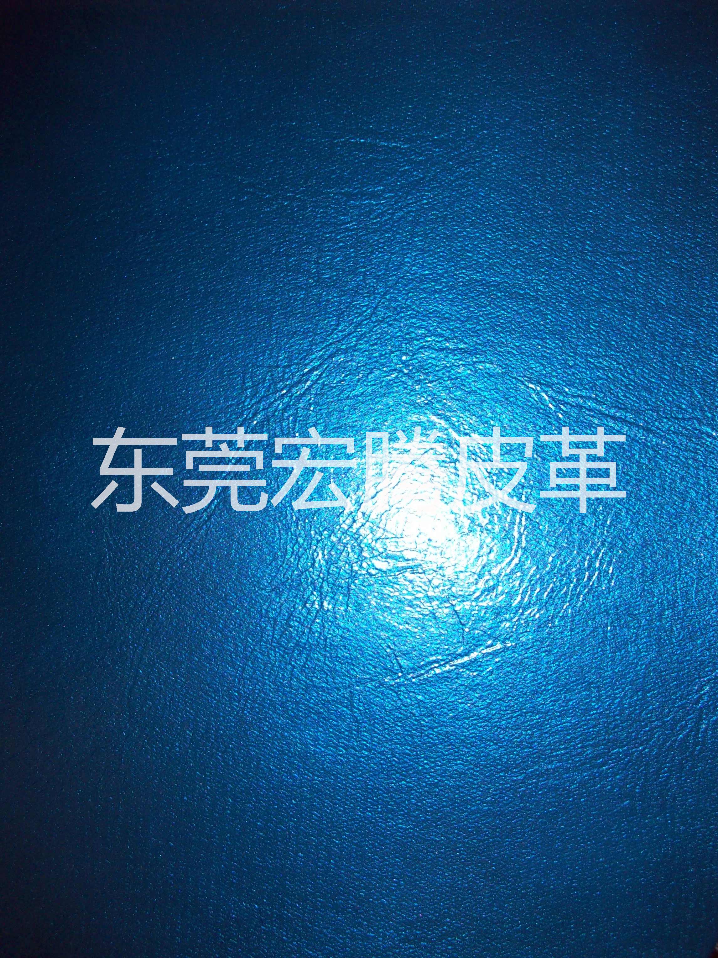 油蠟皮圖片/油蠟皮樣板圖 (4)