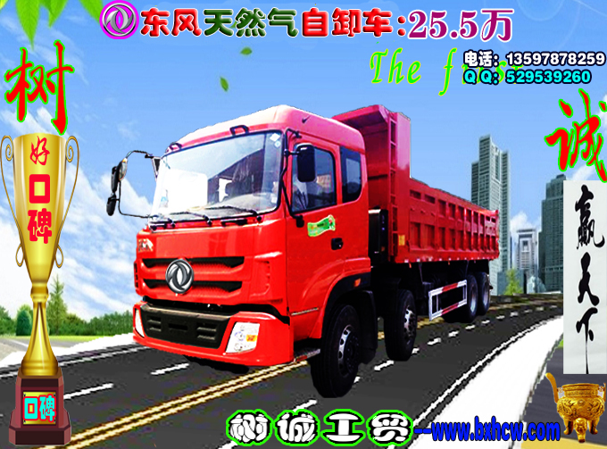 自卸車圖片/自卸車樣板圖 (3)