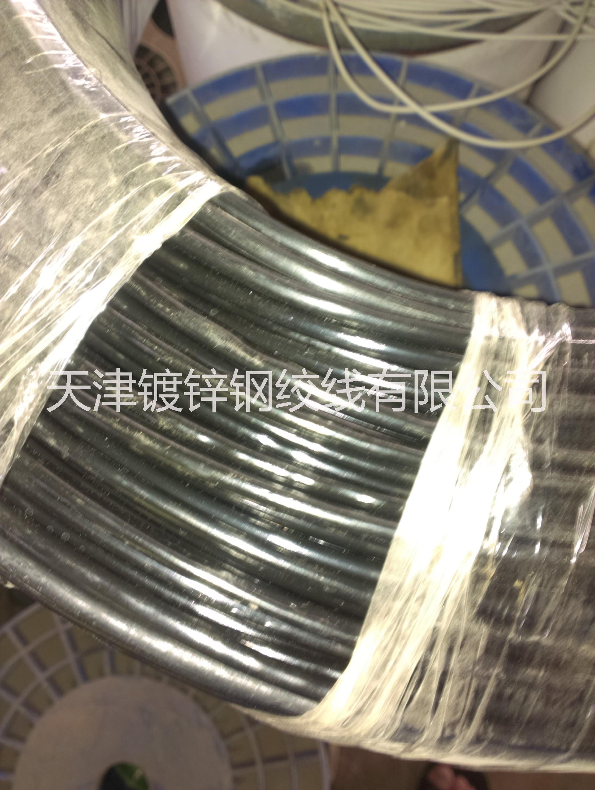 鍍鋅鋼絞線圖片/鍍鋅鋼絞線樣板圖 (3)