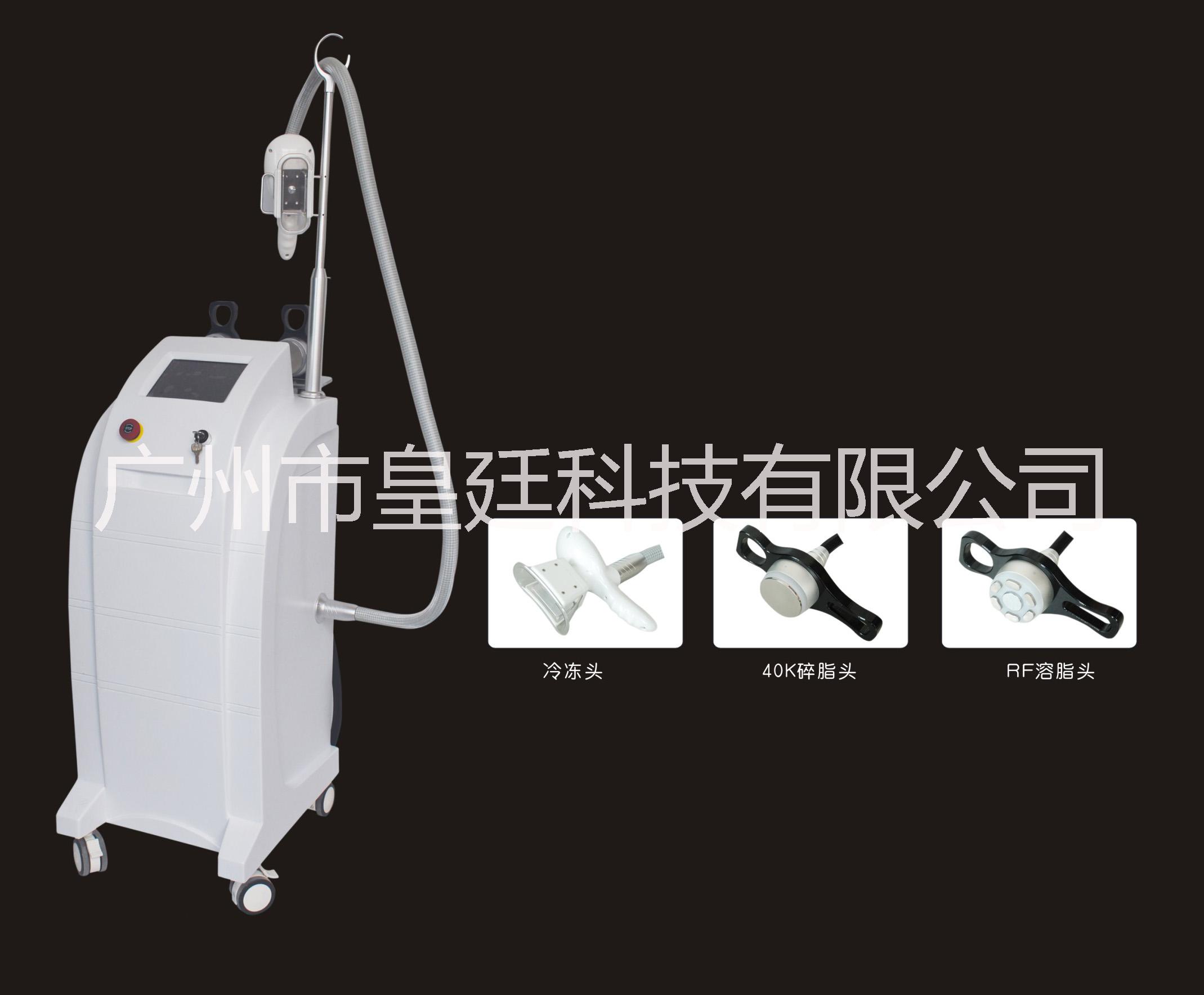 供应 最新减肥仪器 冷冻熔脂仪 强效爆脂减肥仪 彻底碎脂减肥仪不反弹