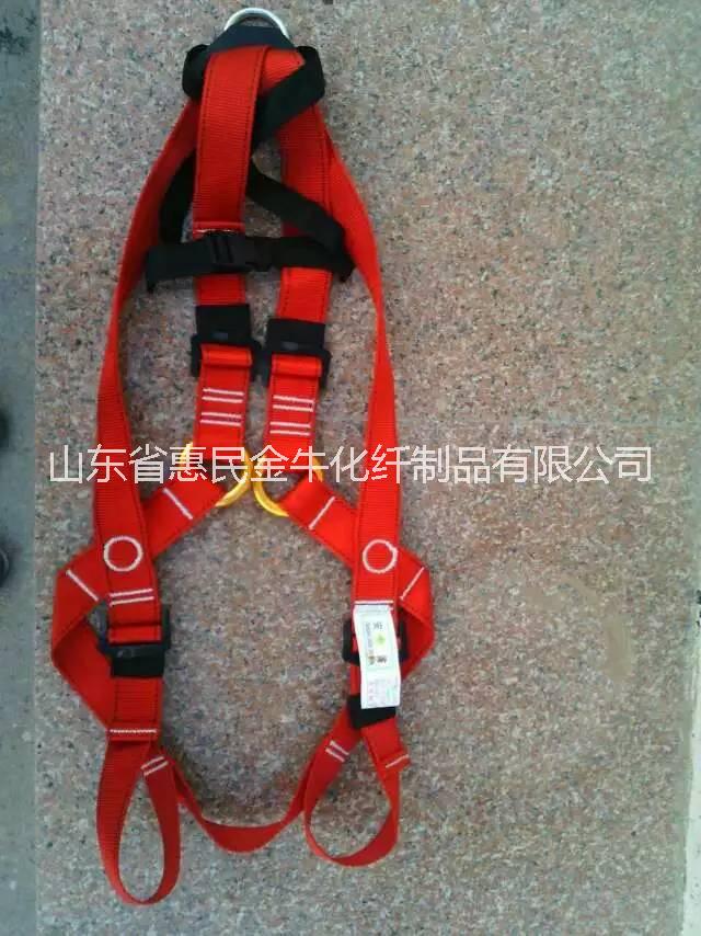 供應(yīng)兒童拓展訓(xùn)練全身式安全帶，山東兒童安全帶哪里有賣