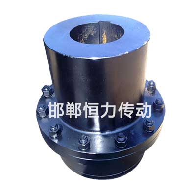 齒式聯(lián)軸器圖片/齒式聯(lián)軸器樣板圖 (2)