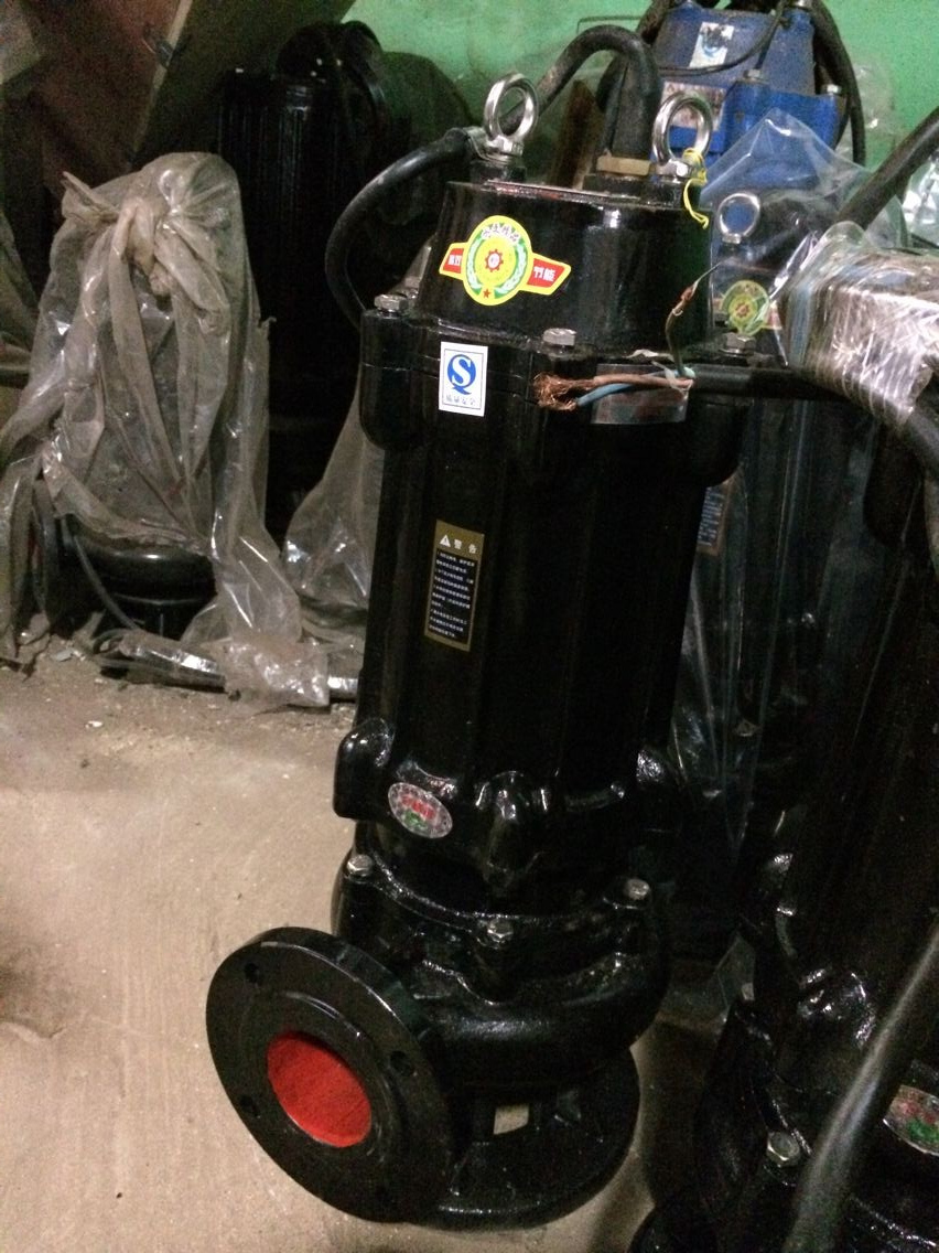抽糞泵圖片/抽糞泵樣板圖 (1)