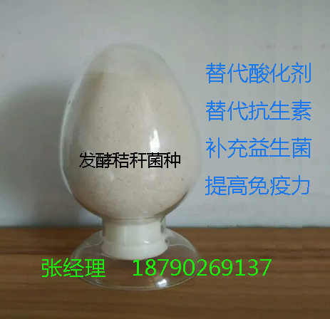 供應(yīng)用于降低飼料成本|提高*力|促進生長的秸稈發(fā)酵菌種，微生物秸稈發(fā)酵劑價格