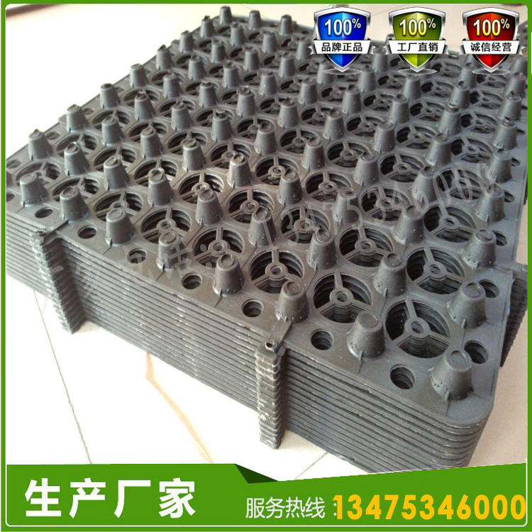 塑料蓄排水板圖片/塑料蓄排水板樣板圖 (4)