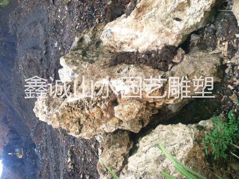 吸水石供應(yīng)公司圖片/吸水石供應(yīng)公司樣板圖 (2)