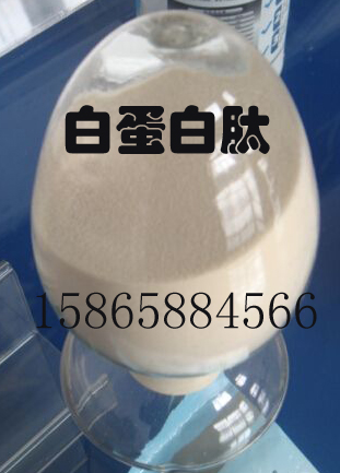 白蛋白肽圖片/白蛋白肽樣板圖 (4)