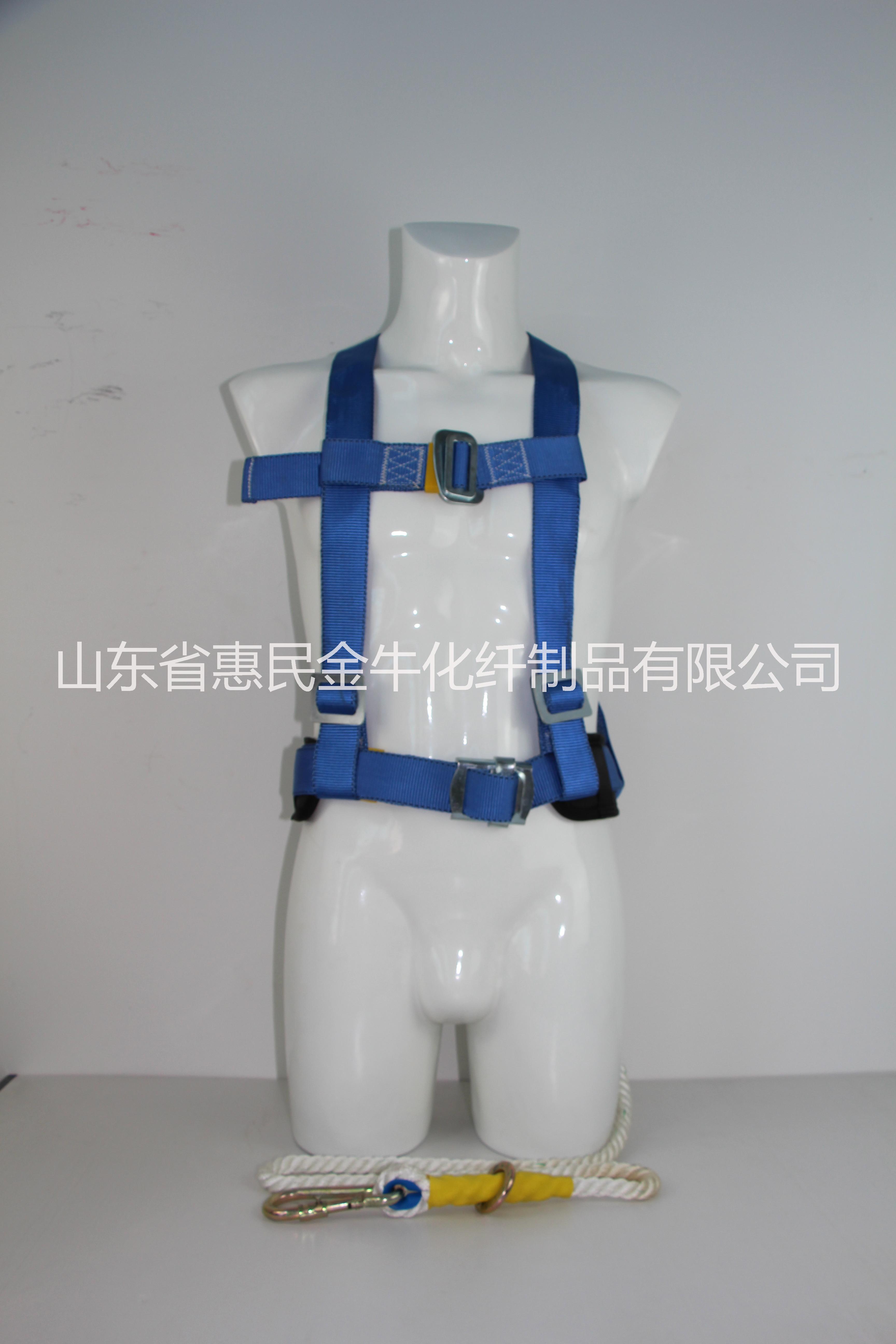 雙背安全帶圖片/雙背安全帶樣板圖 (3)