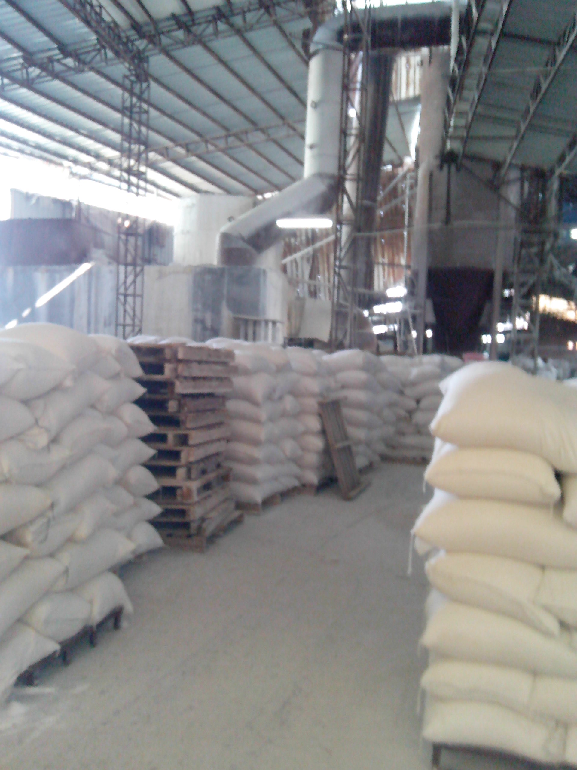 洗潔精圖片/洗潔精樣板圖 (2)