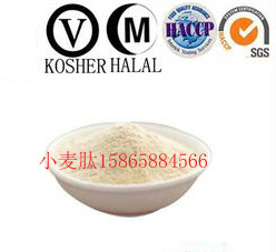 供應(yīng)天久牌小麥低聚肽  小麥肽廠家 小麥肽企業(yè) 菏澤小麥低聚肽