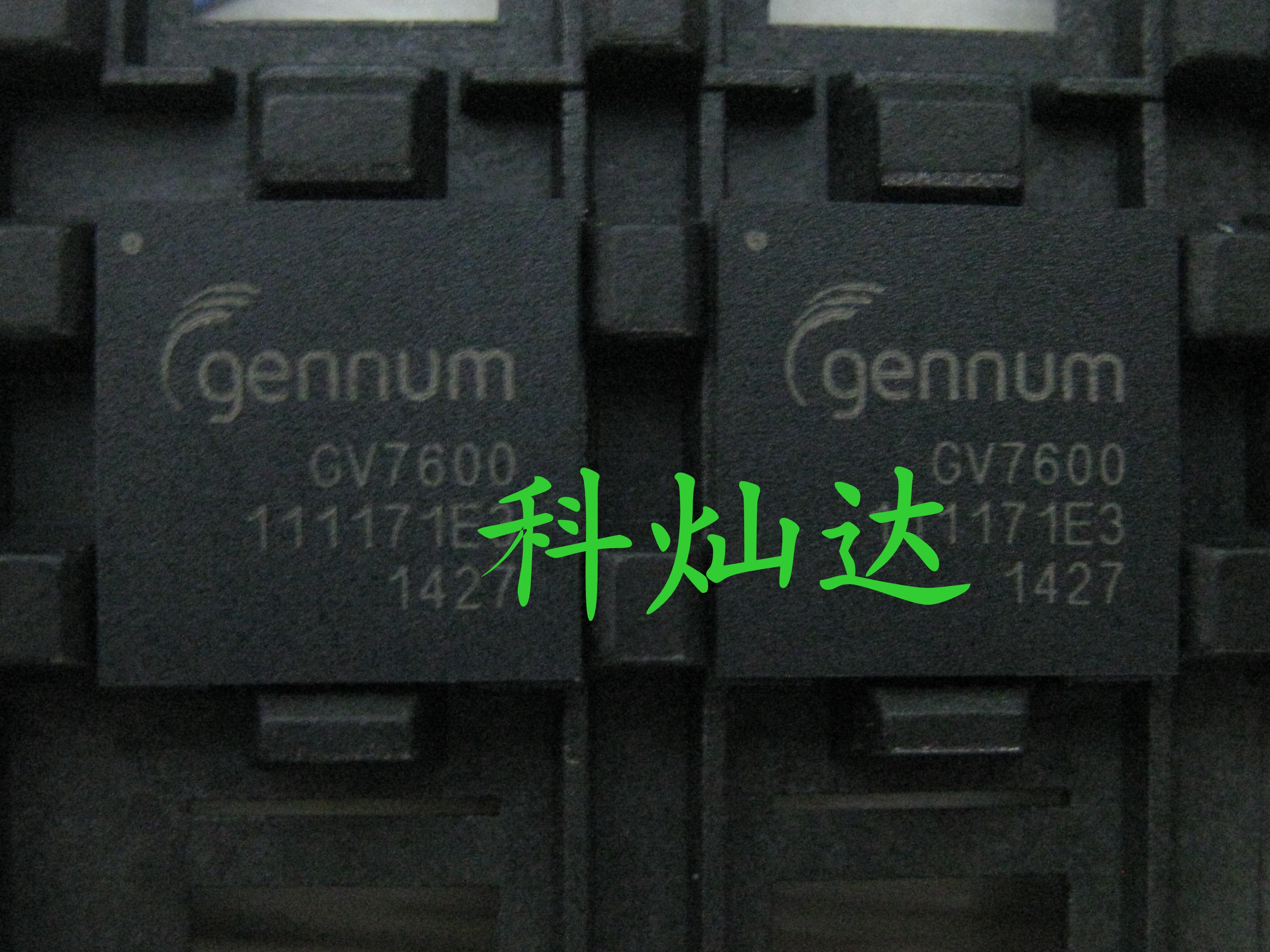 集成电路IC GV7600-IBE3图片