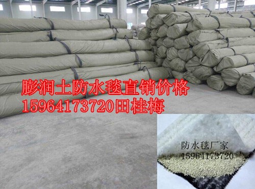北京膨潤土防水毯圖片/北京膨潤土防水毯樣板圖 (1)