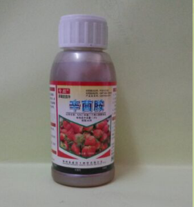 專治草莓炭疽病灰霉病圖片