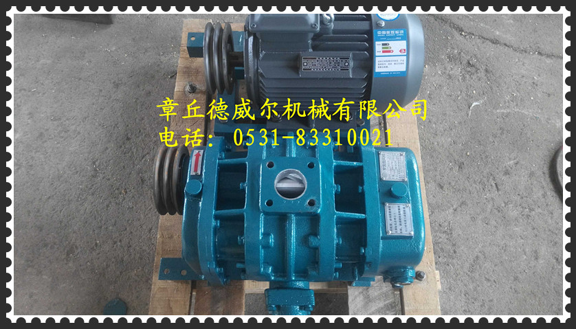 供應(yīng)廈門哪里維修羅茨風(fēng)機(jī)