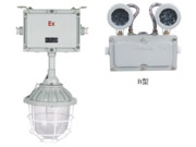 防爆标志灯、防爆安全出口、防爆应急灯、供应用于防爆铝壳|防水橡皮|防爆配件的防爆标志灯图片