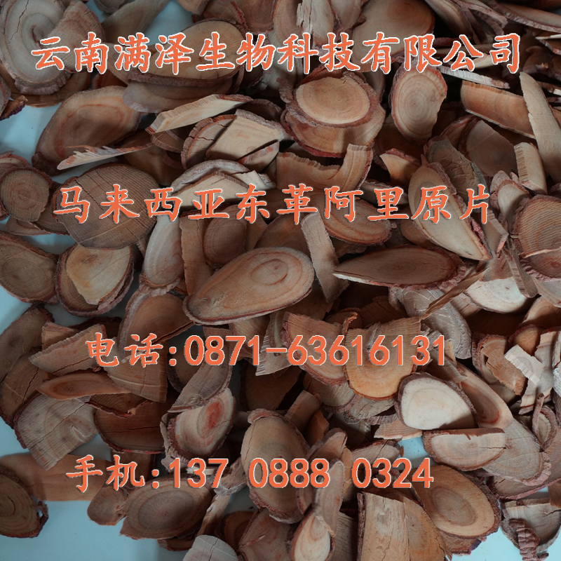 馬來西亞東革阿里官網(wǎng)圖片