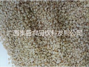 黑芝麻圖片/黑芝麻樣板圖 (2)