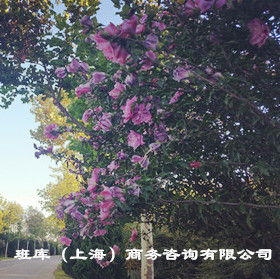 TWI-JS基層管理干部安全作業(yè)技能提升訓(xùn)練公開課