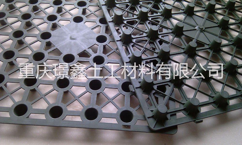 供應(yīng)用于排水的種植排水板蓄排水板