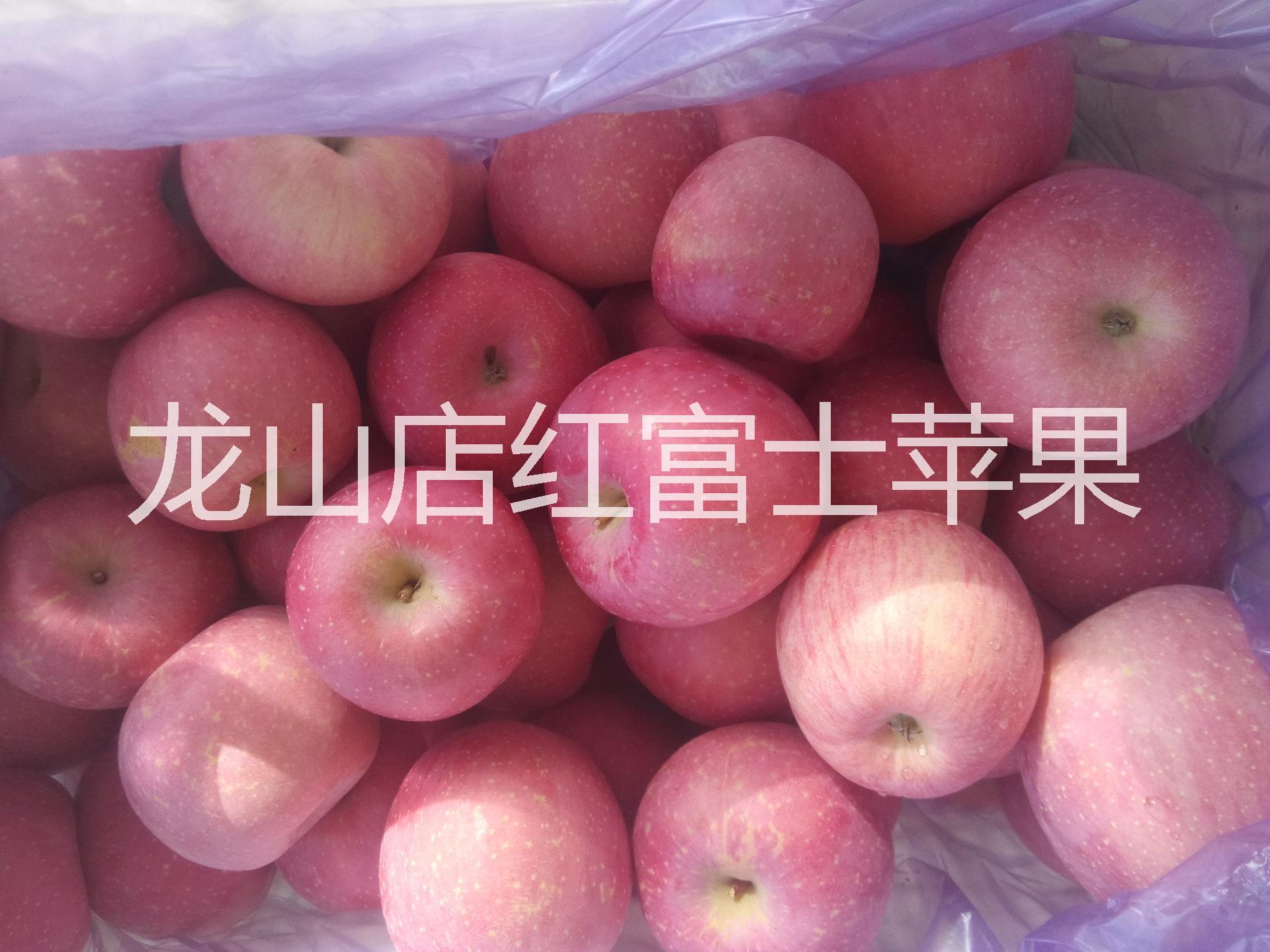 蓬萊龍山店蘋(píng)果代辦圖片/蓬萊龍山店蘋(píng)果代辦樣板圖 (3)