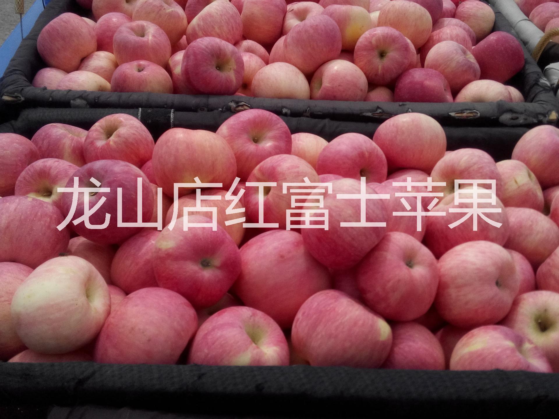 蓬萊龍山店蘋(píng)果代辦圖片/蓬萊龍山店蘋(píng)果代辦樣板圖 (2)