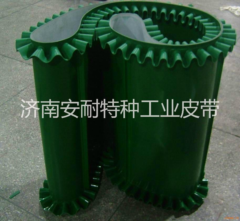 廠家生產(chǎn)PVC/PU輸送帶圖片/廠家生產(chǎn)PVC/PU輸送帶樣板圖 (2)