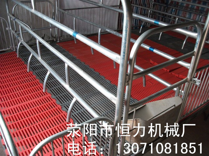 鍍鋅母豬產(chǎn)床圖片/鍍鋅母豬產(chǎn)床樣板圖 (3)