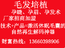 供应孕发术、孕睫术、孕眉术图片