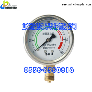 安全監(jiān)測(cè)產(chǎn)品圖片/安全監(jiān)測(cè)產(chǎn)品樣板圖 (1)