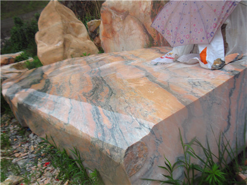 南陽晚霞紅圖片/南陽晚霞紅樣板圖 (3)