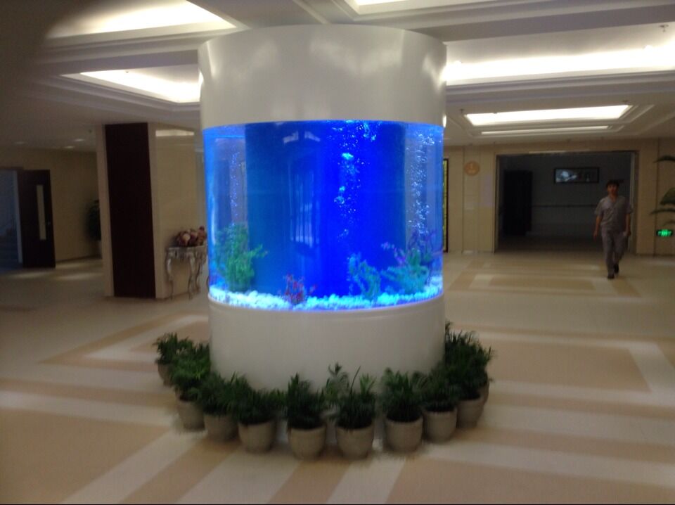 圓柱亞克力魚缸圖片/圓柱亞克力魚缸樣板圖 (1)