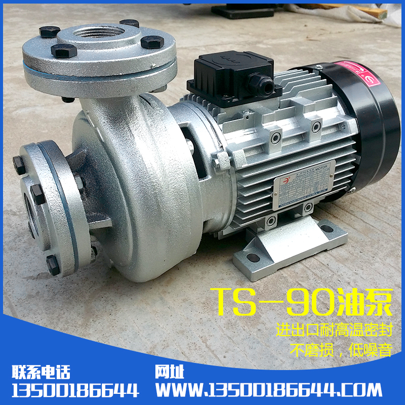 TS-90油泵生產(chǎn)廠家圖片