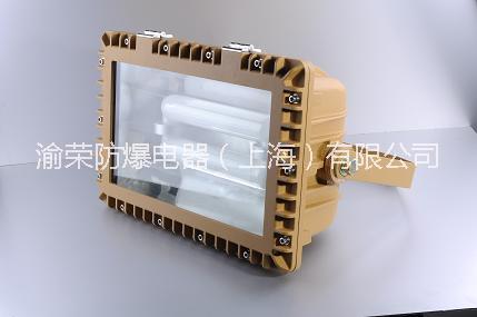 湖南湘潭市防爆無(wú)極燈特價(jià)圖片/湖南湘潭市防爆無(wú)極燈特價(jià)樣板圖 (4)