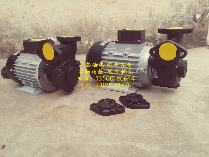 元欣YS-15B導(dǎo)熱油泵現(xiàn)貨批發(fā)圖片