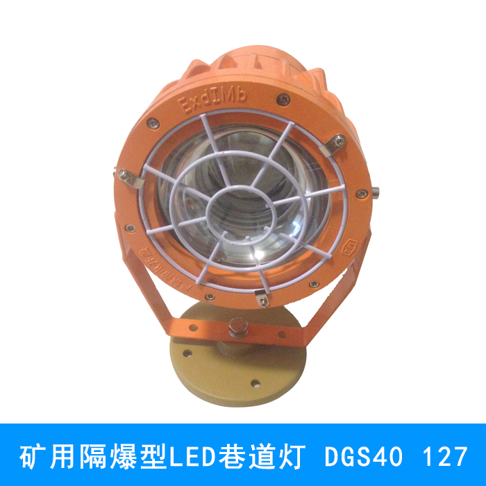 供应矿用隔爆型LED投光灯 DGC80  127图片