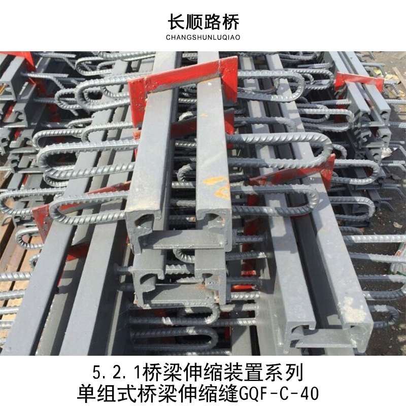 橋梁伸縮縫GQF圖片/橋梁伸縮縫GQF樣板圖 (3)