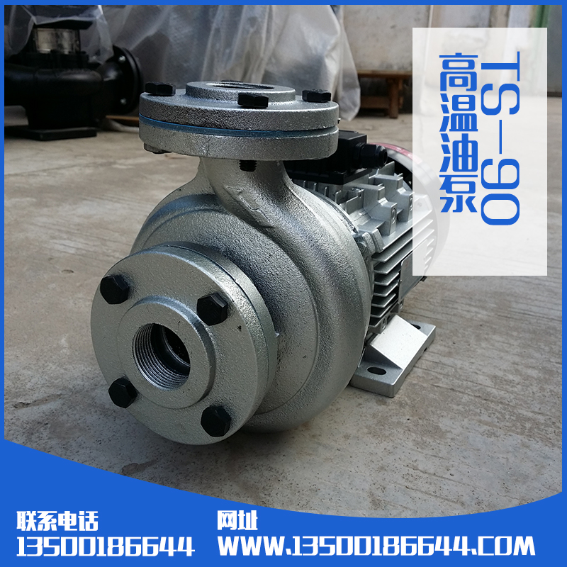 木川導(dǎo)熱油TS-90熱水循環(huán)泵圖片